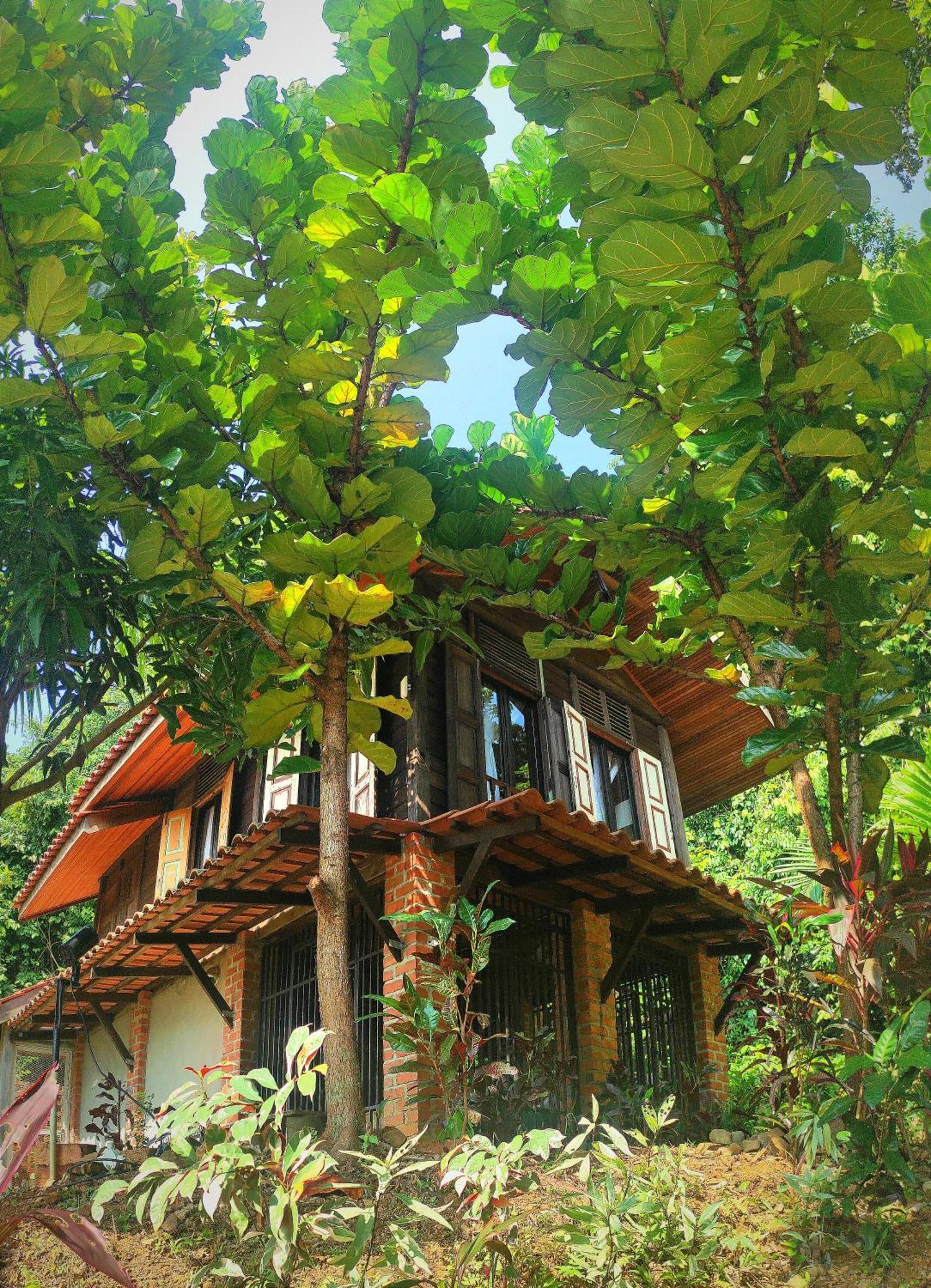 S'Ekar Pinang Langkawi Bed and Breakfast Pantai Cenang  Eksteriør billede